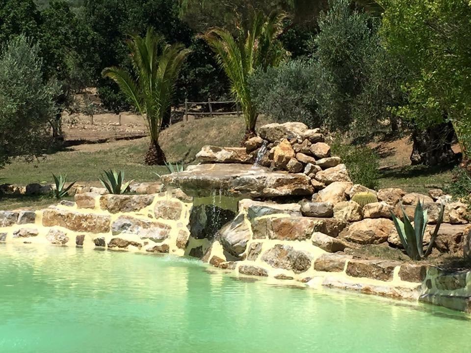 Agriturismo La Fontanella & Glamping Suvereto Exterior photo